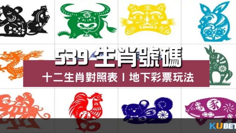 539生肖號碼