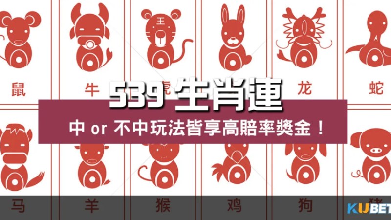 539生肖連玩法大公開!中or不中皆享高賠率獎金! 539生肖連玩法大公開!中or不中皆享高賠率獎金!