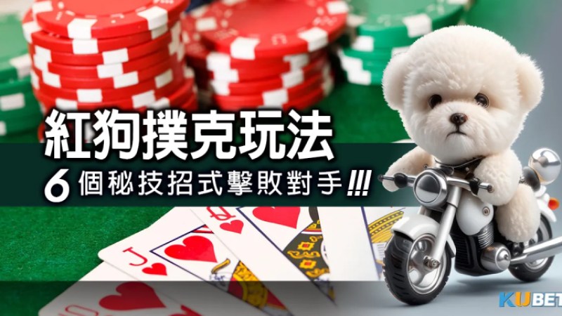 《紅狗撲克玩法》新手指南：6個秘技招式擊敗對手，輕鬆取勝！十點半玩法